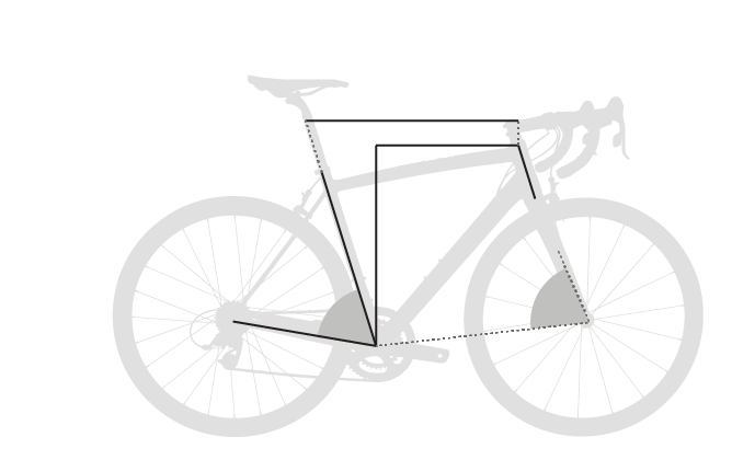 RS1